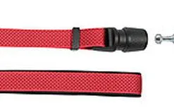 Goleygo - Ensemble Laisse Collier Et Goupille Rouge Pour Chien - M