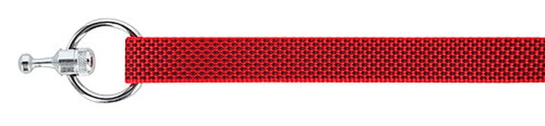 Goleygo - Ensemble Laisse Collier Et Goupille Rouge Pour Chien - M 4 Goleygo - Ensemble Laisse Collier Et Goupille Rouge Pour Chien - M – Image 2