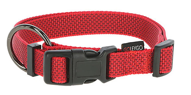 Goleygo - Ensemble Laisse Collier Et Goupille Rouge Pour Chien - M 5 Goleygo - Ensemble Laisse Collier Et Goupille Rouge Pour Chien - M – Image 3