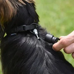 Goleygo - Laisse Plate Réglable Noir Pour Chien - S -nourriture pour chien Soldes 2023 47706