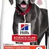 Hill's Science Plan - Croquettes Adulte Large Breed Perfect Digestion Au Poulet Pour Chien - 12Kg -nourriture pour chien Soldes 2023 63645