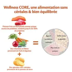 Wellness CORE - Croquettes Océan Saumon Et Thon Pour Chien - 10Kg -nourriture pour chien Soldes 2023 64060
