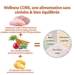 Wellness CORE - Croquettes Original Dinde Et Poulet Pour Chien - 10Kg 10 Wellness CORE - Croquettes Original Dinde Et Poulet Pour Chien - 10Kg -nourriture pour chien Soldes 2023 64096