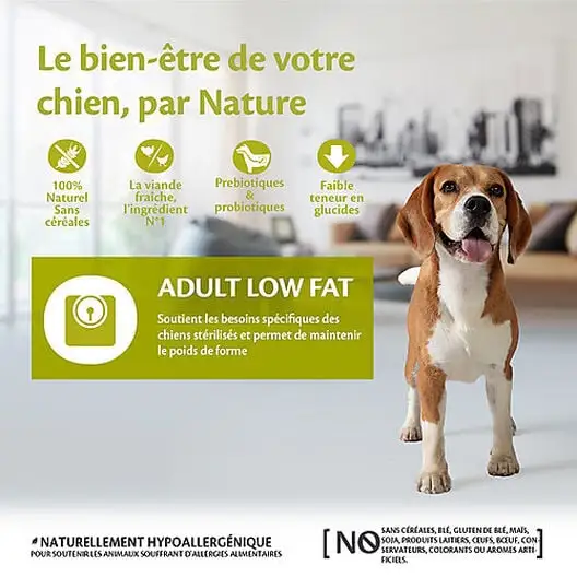 Wellness CORE - Croquettes Light à La Dinde Pour Chien - 10Kg 4 Wellness CORE - Croquettes Light à La Dinde Pour Chien - 10Kg – Image 2