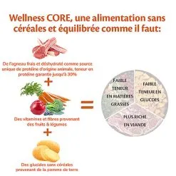 Wellness CORE - Croquettes à L'Agneau Pour Chien De Toutes Races - 10Kg -nourriture pour chien Soldes 2023 64202
