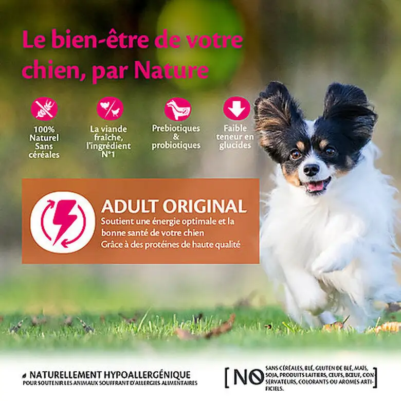 Wellness CORE - Croquettes Original Dinde Et Poulet Pour Chien De Petite Race - 5Kg 4 Wellness CORE - Croquettes Original Dinde Et Poulet Pour Chien De Petite Race - 5Kg – Image 2