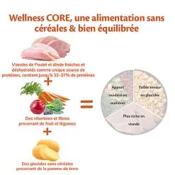 Wellness CORE - Croquettes Original Dinde Et Poulet Pour Chien De Petite Race - 5Kg 10 Wellness CORE - Croquettes Original Dinde Et Poulet Pour Chien De Petite Race - 5Kg -nourriture pour chien Soldes 2023 64218