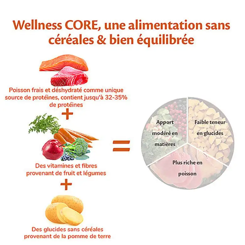Wellness CORE - Croquettes Océan Saumon Et Thon Pour Chien De Petite Race - 5Kg 6 Wellness CORE - Croquettes Océan Saumon Et Thon Pour Chien De Petite Race - 5Kg – Image 4