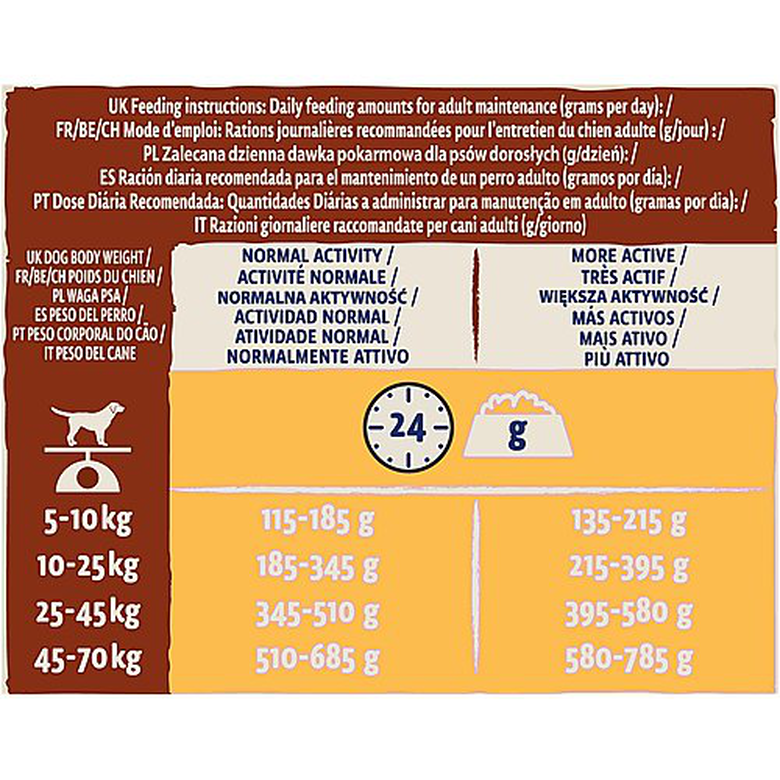 Dog Chow - Croquettes Mature Au Poulet Pour Chien - 14Kg 8 Dog Chow - Croquettes Mature Au Poulet Pour Chien - 14Kg – Image 6