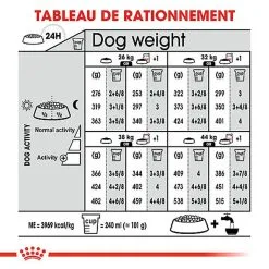 Royal Canin - Croquettes Maxi Adult Dermacomfort Pour Chien - 12Kg -nourriture pour chien Soldes 2023 64792