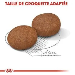 Royal Canin - Croquettes Medium Adulte 7+ Pour Chien -nourriture pour chien Soldes 2023 66800