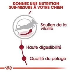 Royal Canin - Croquettes Medium Adulte 7+ Pour Chien -nourriture pour chien Soldes 2023 66802