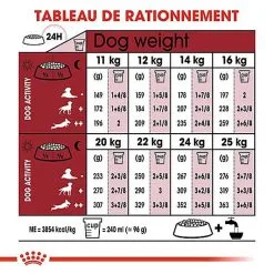 Royal Canin - Croquettes Medium Adulte 7+ Pour Chien -nourriture pour chien Soldes 2023 66803