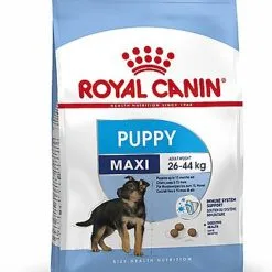 Royal Canin - Croquettes Maxi Puppy Pour Chiot -nourriture pour chien Soldes 2023 66805