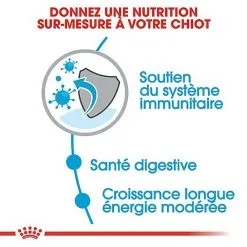 Royal Canin - Croquettes Maxi Puppy Pour Chiot -nourriture pour chien Soldes 2023 66815