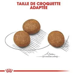 Royal Canin - Croquettes Maxi Puppy Pour Chiot -nourriture pour chien Soldes 2023 66817