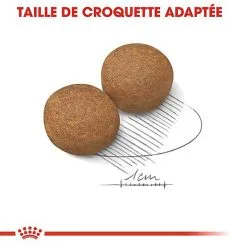 Royal Canin - Croquettes Maxi Adult Pour Chien 16 Royal Canin - Croquettes Maxi Adult Pour Chien -nourriture pour chien Soldes 2023 66830