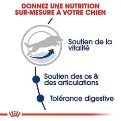 Royal Canin - Croquettes Maxi Adulte 5+ Pour Chien Adulte - 15Kg -nourriture pour chien Soldes 2023 66834