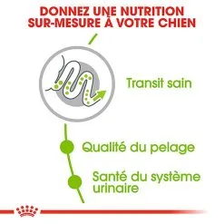 Royal Canin - Croquettes X-Small Pour Chien Adulte De Petite Taille - 1,5Kg -nourriture pour chien Soldes 2023 66883