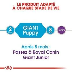 Royal Canin - Croquettes Giant Puppy Pour Chiot - 15Kg 9 Royal Canin - Croquettes Giant Puppy Pour Chiot - 15Kg -nourriture pour chien Soldes 2023 66959