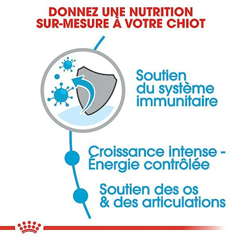 Royal Canin - Croquettes Giant Puppy Pour Chiot - 15Kg 6 Royal Canin - Croquettes Giant Puppy Pour Chiot - 15Kg – Image 4