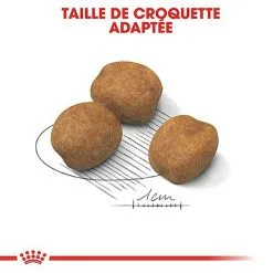 Royal Canin - Croquettes Giant Puppy Pour Chiot - 15Kg 11 Royal Canin - Croquettes Giant Puppy Pour Chiot - 15Kg -nourriture pour chien Soldes 2023 66961