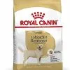 Royal Canin - Croquettes Labrador Pour Chien Adulte -nourriture pour chien Soldes 2023 67028