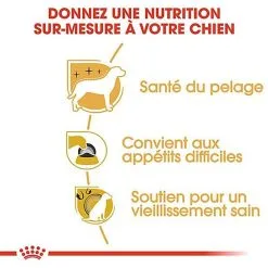 Royal Canin - Croquettes Yorkshire Terrier Pour Chien Adulte -nourriture pour chien Soldes 2023 67079