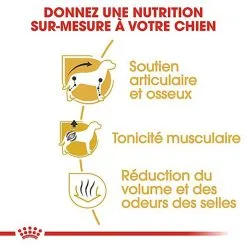 Royal Canin - Croquettes Teckel Pour Chien Adulte - 1,5Kg 8 Royal Canin - Croquettes Teckel Pour Chien Adulte - 1,5Kg -nourriture pour chien Soldes 2023 67101