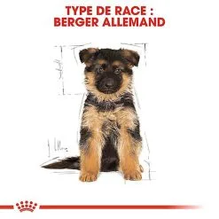 Royal Canin - Croquettes Berger Allemand Junior Pour Chiot -nourriture pour chien Soldes 2023 67179