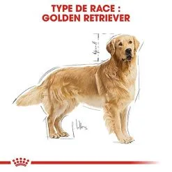 Royal Canin - Croquettes Golden Retriever Pour Chien Adulte -nourriture pour chien Soldes 2023 67279