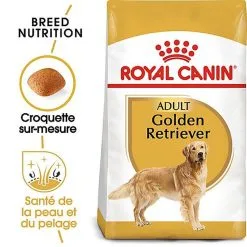 Royal Canin - Croquettes Golden Retriever Pour Chien Adulte -nourriture pour chien Soldes 2023 67280