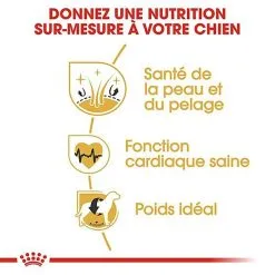 Royal Canin - Croquettes Golden Retriever Pour Chien Adulte -nourriture pour chien Soldes 2023 67282