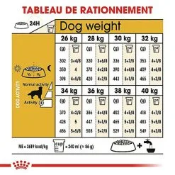 Royal Canin - Croquettes Golden Retriever Pour Chien Adulte -nourriture pour chien Soldes 2023 67283