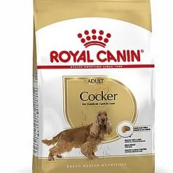 Royal Canin - Croquettes Cocker Pour Chien Adulte -nourriture pour chien Soldes 2023 67285