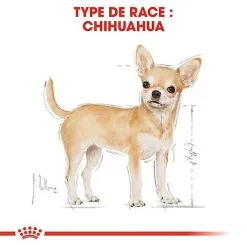 Royal Canin - Croquettes Chihuahua Pour Chien Adulte 12 Royal Canin - Croquettes Chihuahua Pour Chien Adulte -nourriture pour chien Soldes 2023 67347