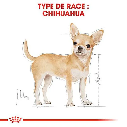Royal Canin - Croquettes Chihuahua Pour Chien Adulte 5 Royal Canin - Croquettes Chihuahua Pour Chien Adulte – Image 3