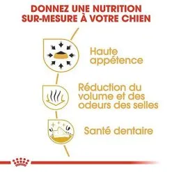 Royal Canin - Croquettes Chihuahua Pour Chien Adulte 15 Royal Canin - Croquettes Chihuahua Pour Chien Adulte -nourriture pour chien Soldes 2023 67351