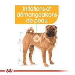 Royal Canin - Croquettes Medium Dermacomfort Pour Chien 12 Royal Canin - Croquettes Medium Dermacomfort Pour Chien -nourriture pour chien Soldes 2023 67443