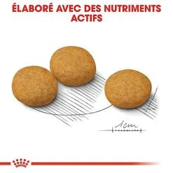 Royal Canin - Croquettes Medium Dermacomfort Pour Chien 14 Royal Canin - Croquettes Medium Dermacomfort Pour Chien -nourriture pour chien Soldes 2023 67445