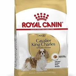 Royal Canin - Croquettes Cavalier King Charles Pour Chien Adulte -nourriture pour chien Soldes 2023 67457