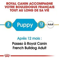 Royal Canin - Croquettes Bouledogue Français Junior Pour Chiot 13 Royal Canin - Croquettes Bouledogue Français Junior Pour Chiot -nourriture pour chien Soldes 2023 67465