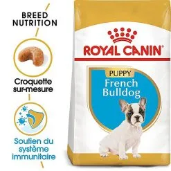 Royal Canin - Croquettes Bouledogue Français Junior Pour Chiot 14 Royal Canin - Croquettes Bouledogue Français Junior Pour Chiot -nourriture pour chien Soldes 2023 67466