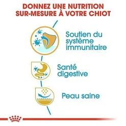 Royal Canin - Croquettes Bouledogue Français Junior Pour Chiot 16 Royal Canin - Croquettes Bouledogue Français Junior Pour Chiot -nourriture pour chien Soldes 2023 67468