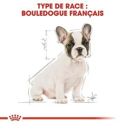 Royal Canin - Croquettes Bouledogue Français Junior Pour Chiot 17 Royal Canin - Croquettes Bouledogue Français Junior Pour Chiot -nourriture pour chien Soldes 2023 67469