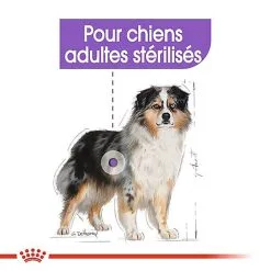 Royal Canin - Croquettes Medium Sterilised Pour Chien Stérilisé - 3Kg -nourriture pour chien Soldes 2023 67578