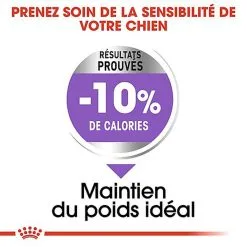 Royal Canin - Croquettes Medium Sterilised Pour Chien Stérilisé - 3Kg -nourriture pour chien Soldes 2023 67579