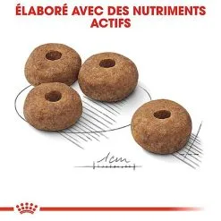 Royal Canin - Croquettes Medium Sterilised Pour Chien Stérilisé - 3Kg -nourriture pour chien Soldes 2023 67580