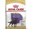Royal Canin - Croquettes Labrador Pour Chien Stérilisé - 12Kg -nourriture pour chien Soldes 2023 67584
