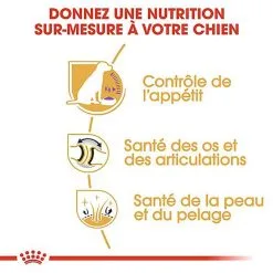 Royal Canin - Croquettes Labrador Pour Chien Stérilisé - 12Kg -nourriture pour chien Soldes 2023 67588